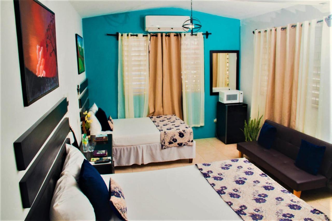 Eventuality B&B New 킹스톤 외부 사진