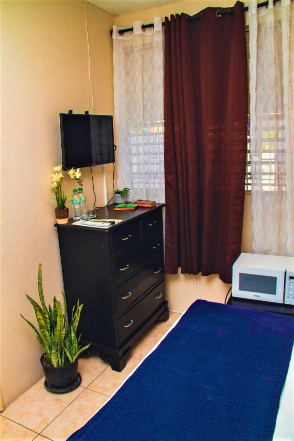 Eventuality B&B New 킹스톤 외부 사진